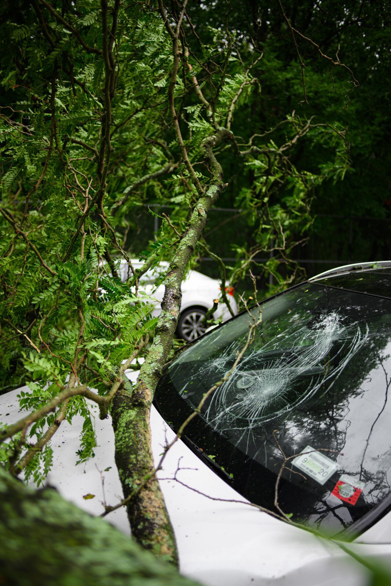 car accident